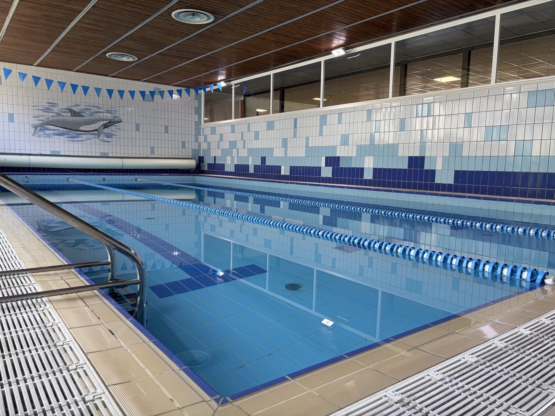 Piscina del New Cila Club