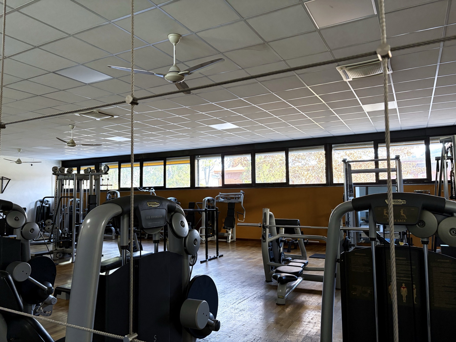 Palestra del New Cila Club